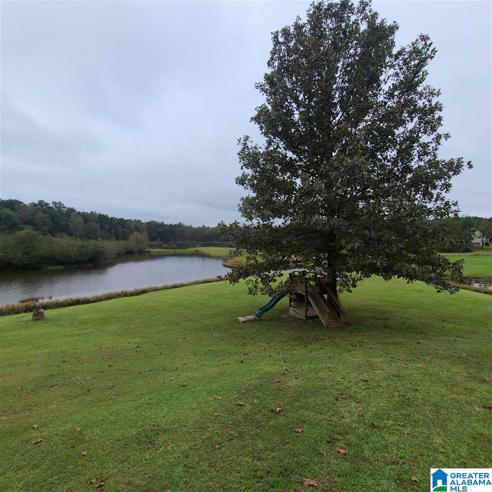 377 Chapel Lake Road Ragland, AL 35131 - Photo 31 of 38
