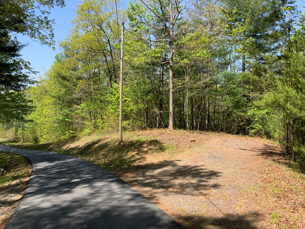 Lot 22 Ridgewood Drive Murphy, NC 28906 - Photo 2 of 21 Gallery Image 2