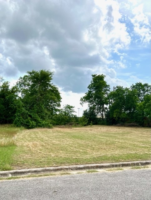 0 West Walnut Street Pflugerville, TX 78660 - Photo 1 of 1 a view of a ocean view