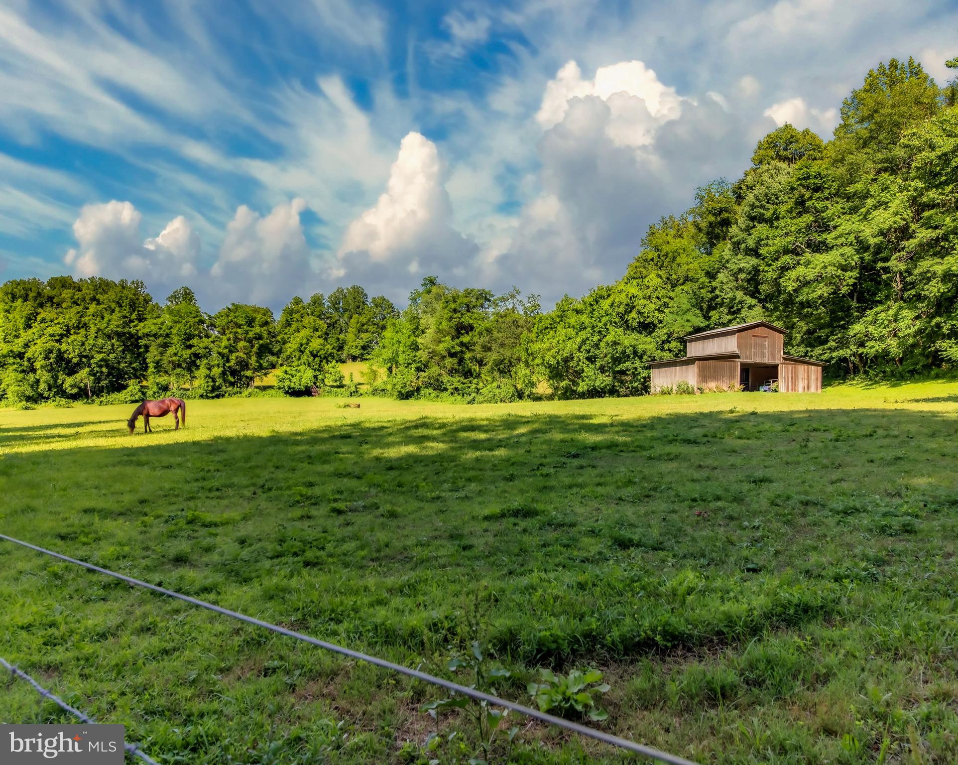4028 South F T Valley Road Etlan, VA 22719 - Photo 21 of 101 a view of yard with swimming pool and green space