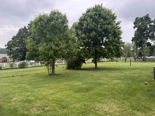 335 Beechburg Road Flemingsburg, KY 41041 - Photo 6 of 25 335 rear yard