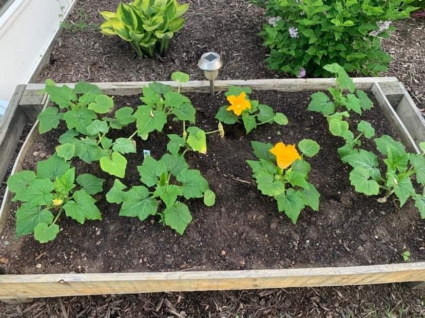 176 Long Pond Road Greece, NY 14612 - Photo 28 of 34