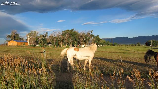 8385 Ermel Road Fountain, CO 80817 - Photo 9 of 12