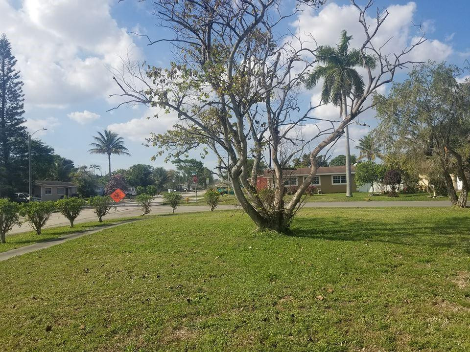 6830 Southwest 23rd Street Miramar, FL 33023 - Photo 9 of 17 a view of a field with large trees