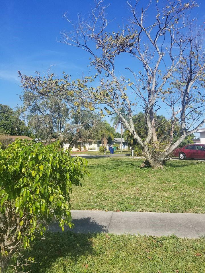 6830 Southwest 23rd Street Miramar, FL 33023 - Photo 10 of 17 a view of a garden with an outdoor space