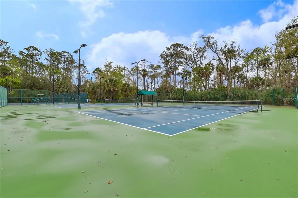 323 Celebration Boulevard Celebration, FL 34747 - Photo 69 of 71 Gallery Image 69