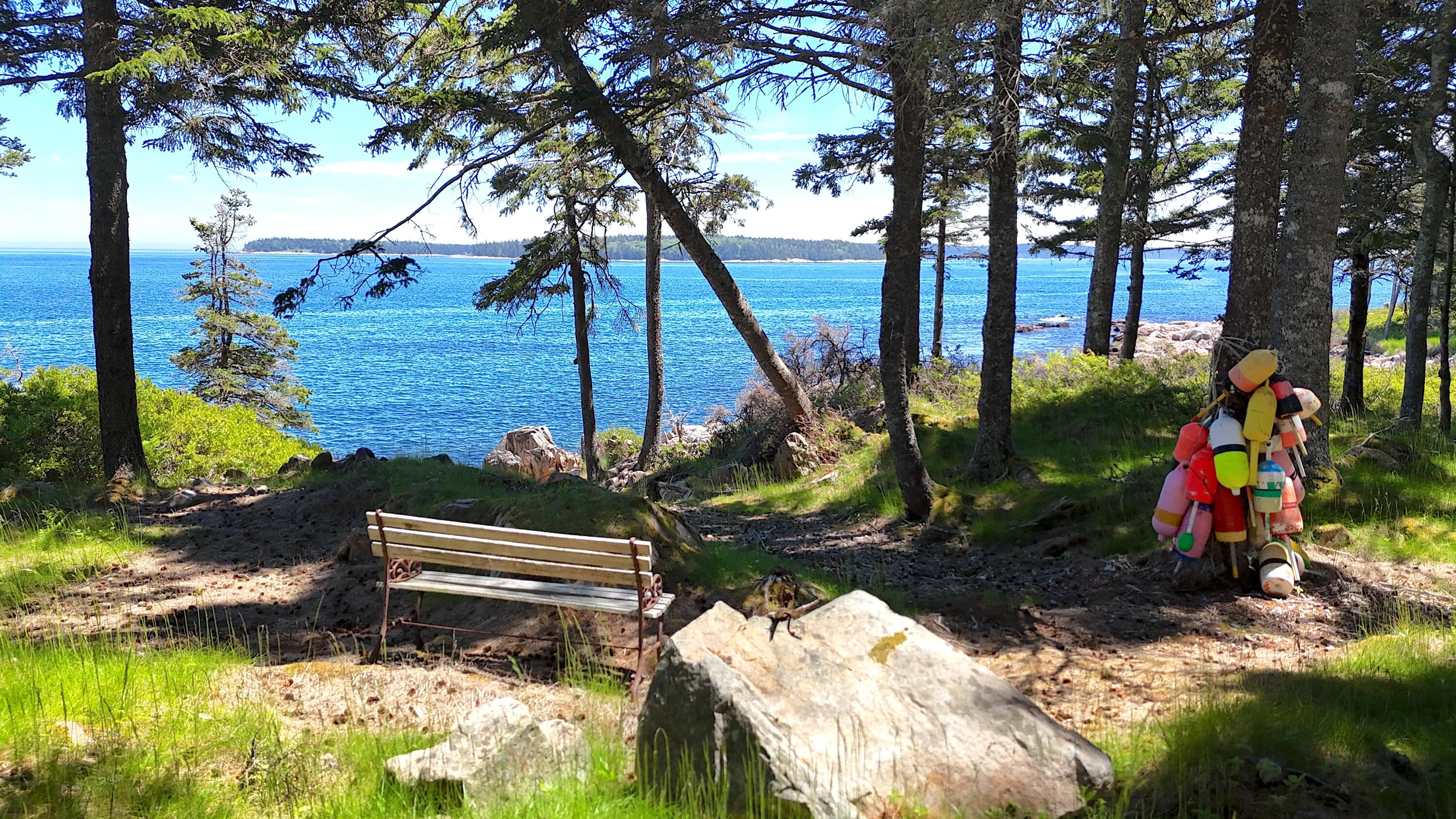 162 Red Point Road Swans Island, ME 04685 - Photo 6 of 50 bench and bouys