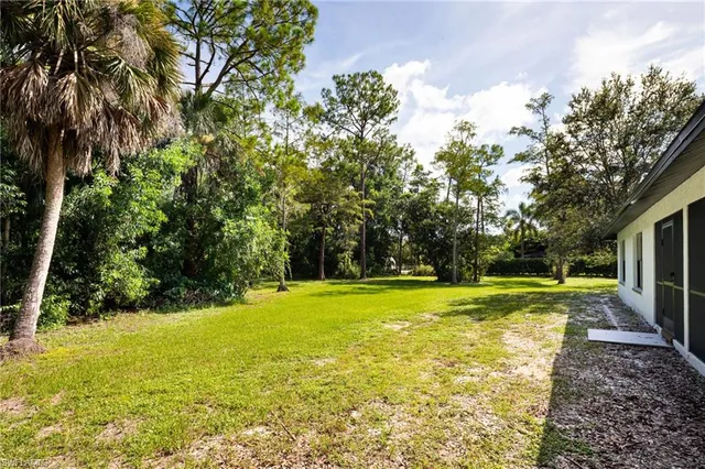 a view of a yard with a trees