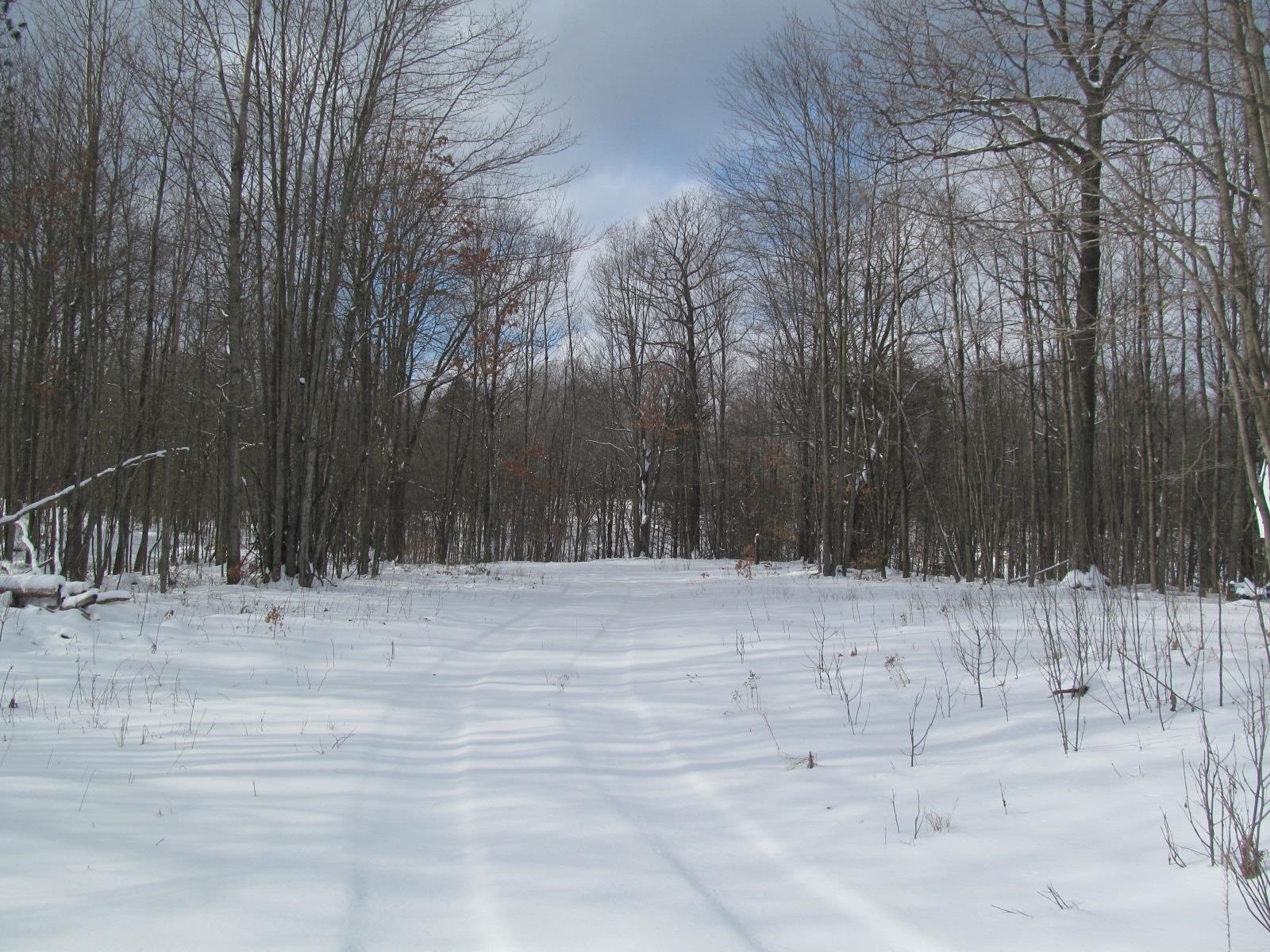 47 South 47 3/4 Road Cadillac, MI 49601 - Photo 32 of 32