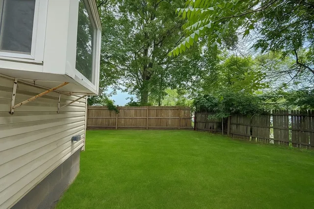 a view of a backyard