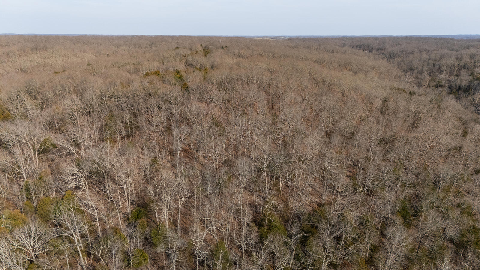 0 Abadyl Road Fordland, MO 65652 - Photo 24 of 25 DJI_20260303153512_0038_D