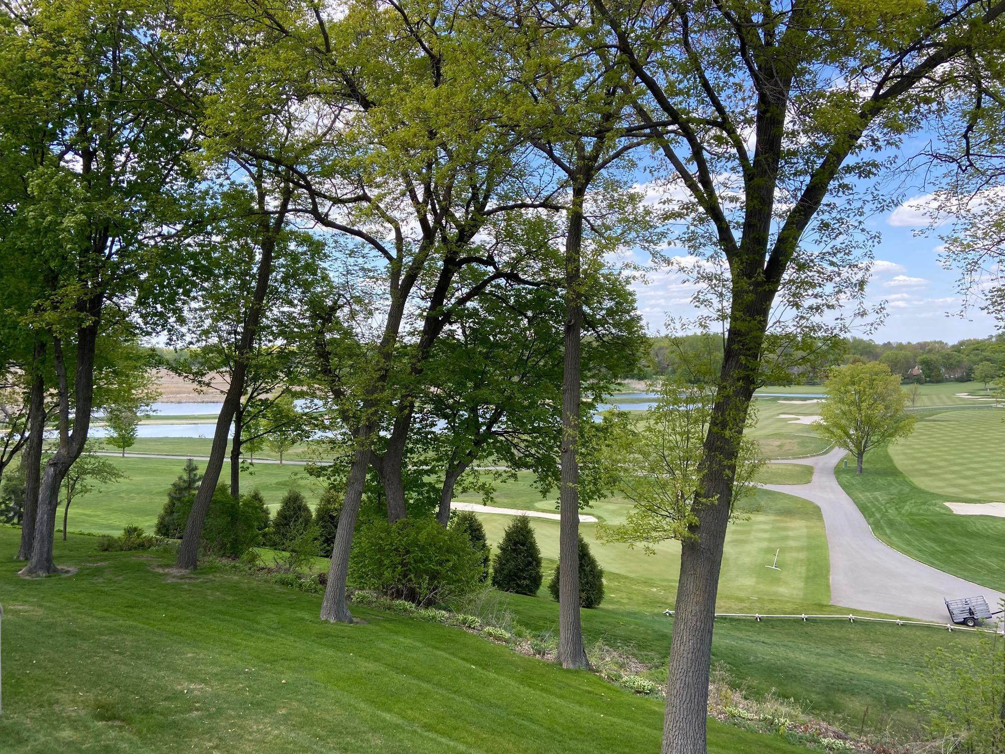 10842 Mt Curve Road Eden Prairie, MN 55347 - Photo 11 of 40 Gallery Image 11