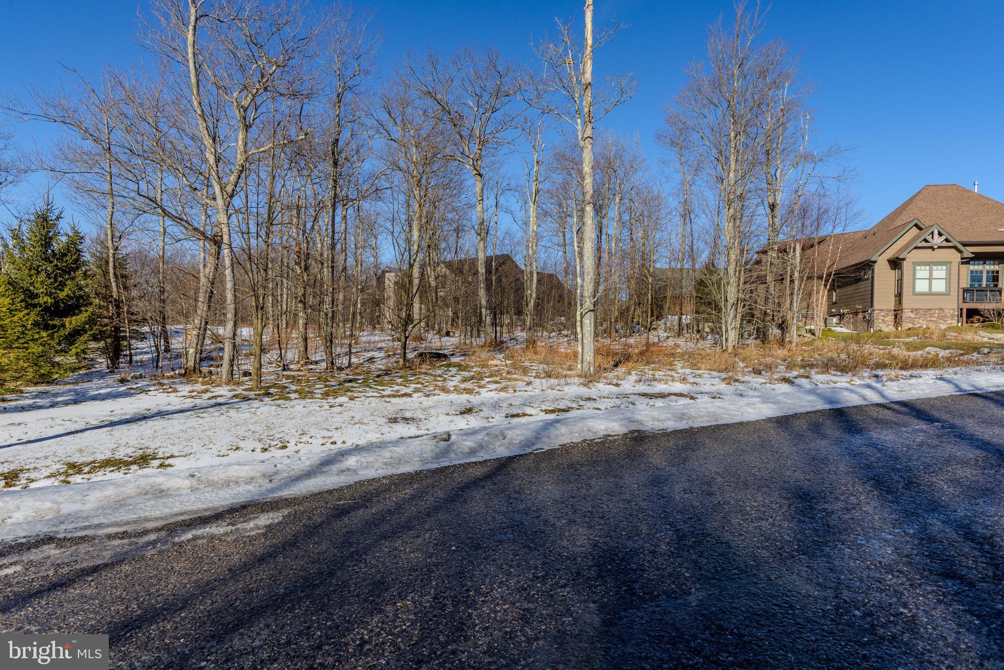 57 North Camp Road McHenry, MD 21541 - Photo 17 of 46 a view of large house with snow on the road