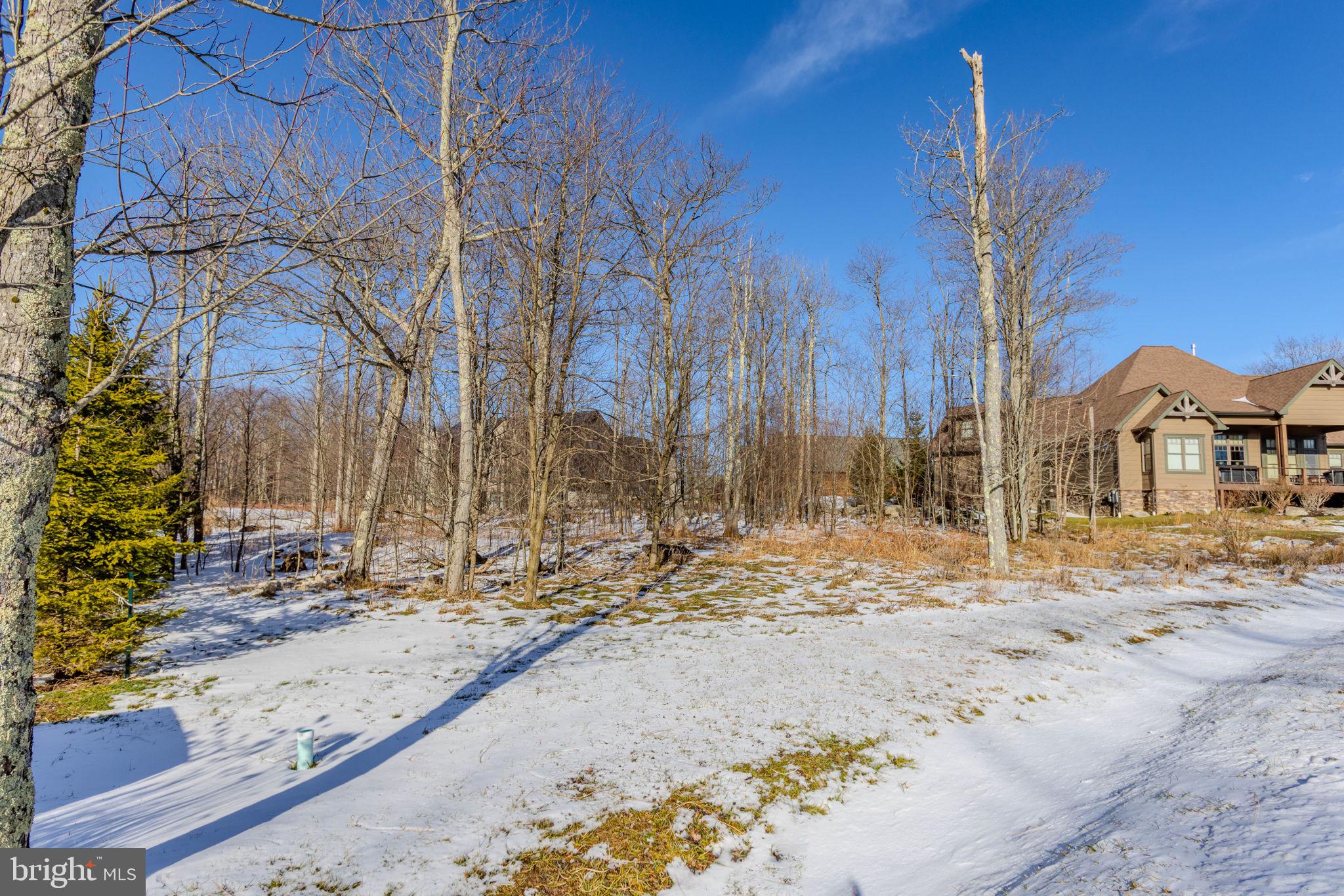57 North Camp Road McHenry, MD 21541 - Photo 18 of 46 a view of street with large trees