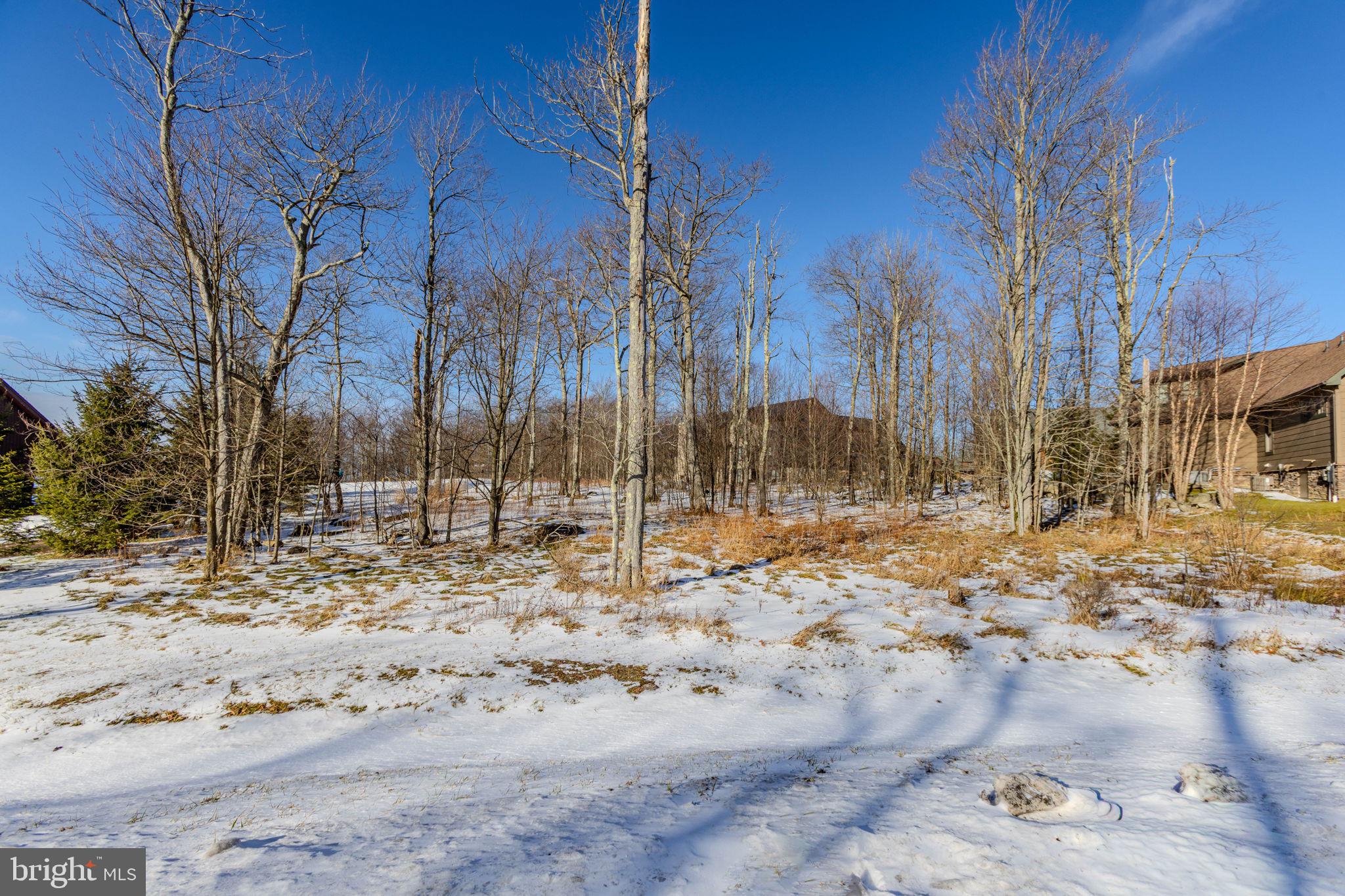 57 North Camp Road McHenry, MD 21541 - Photo 19 of 46 a view of covered with snow