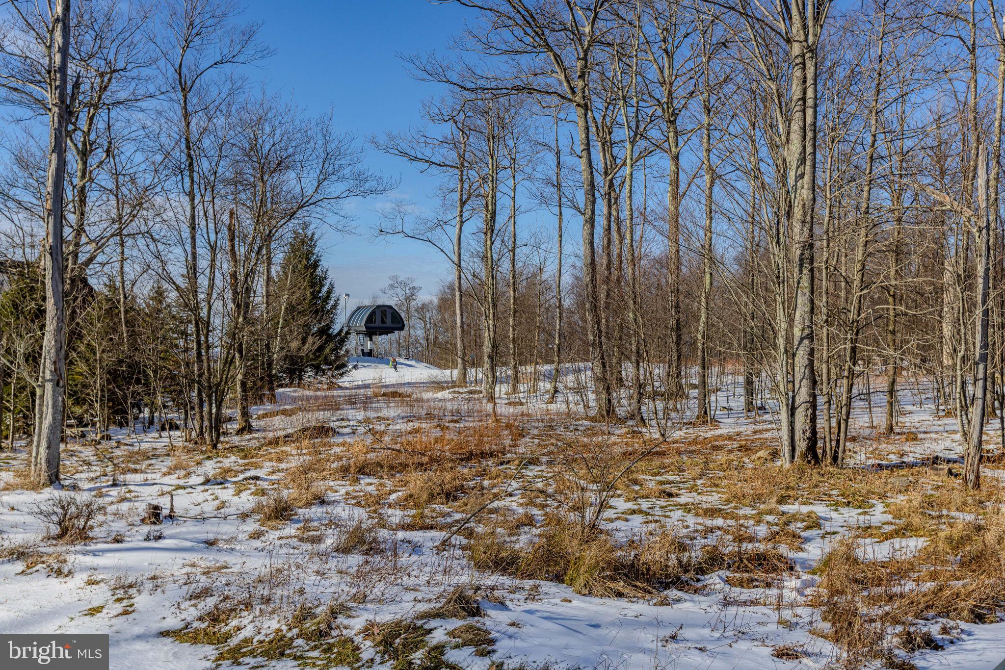 57 North Camp Road McHenry, MD 21541 - Photo 21 of 46 a view of a yard with snow