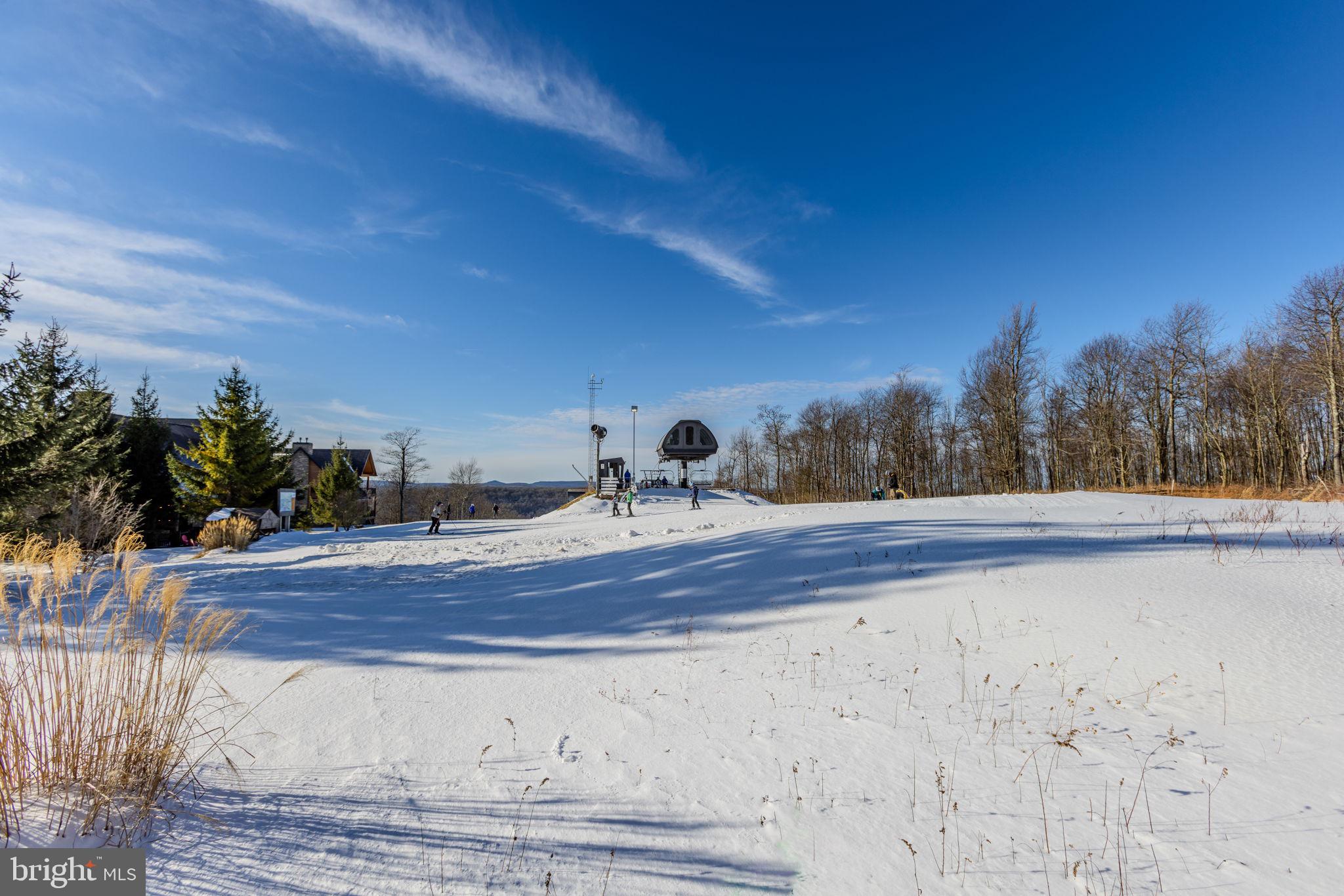 57 North Camp Road McHenry, MD 21541 - Photo 22 of 46 a view of a backyard