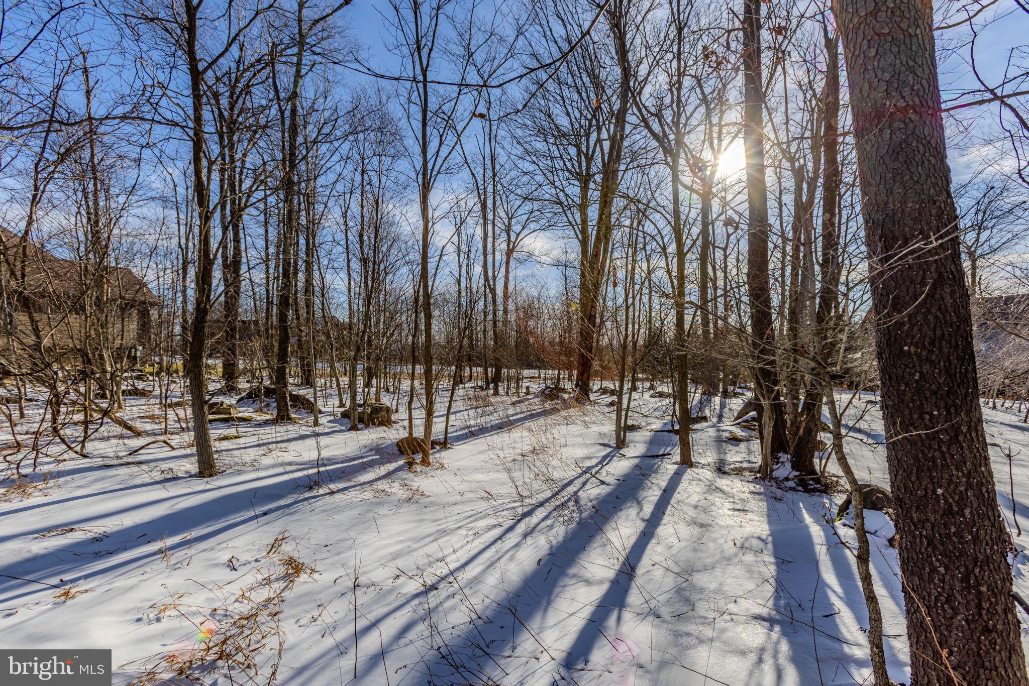 57 North Camp Road McHenry, MD 21541 - Photo 23 of 46 a view of a yard with trees