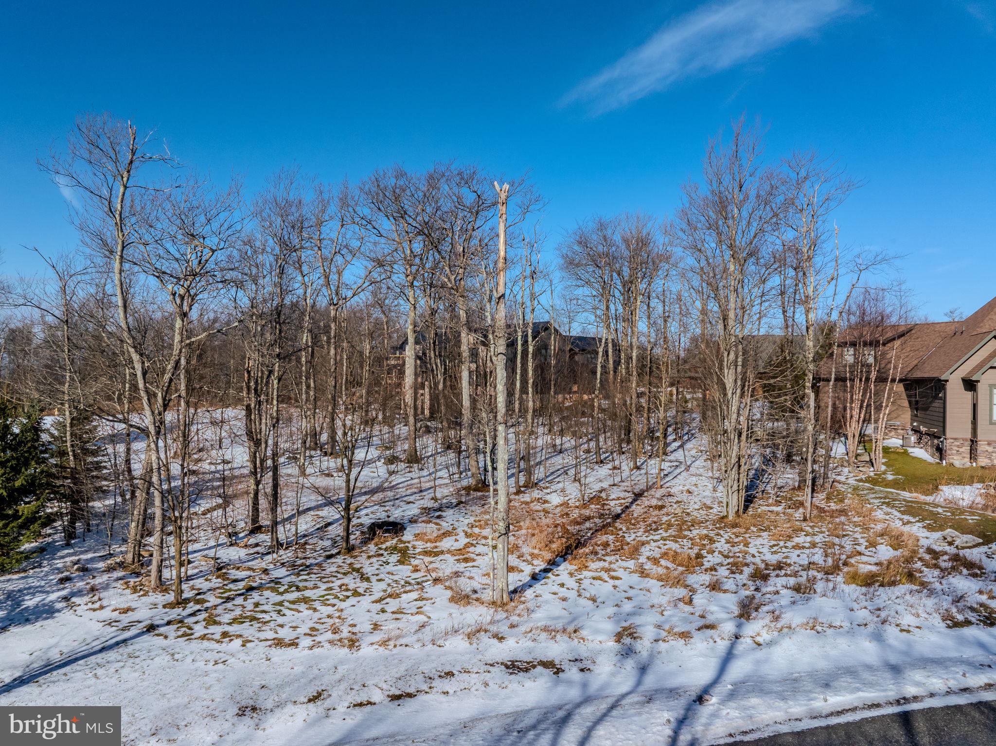 57 North Camp Road McHenry, MD 21541 - Photo 28 of 46 a view of a forest filled with trees