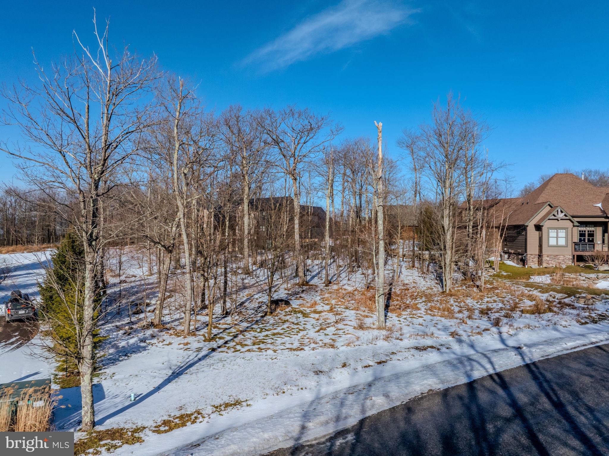 57 North Camp Road McHenry, MD 21541 - Photo 29 of 46 a backyard of a house with lots of green space