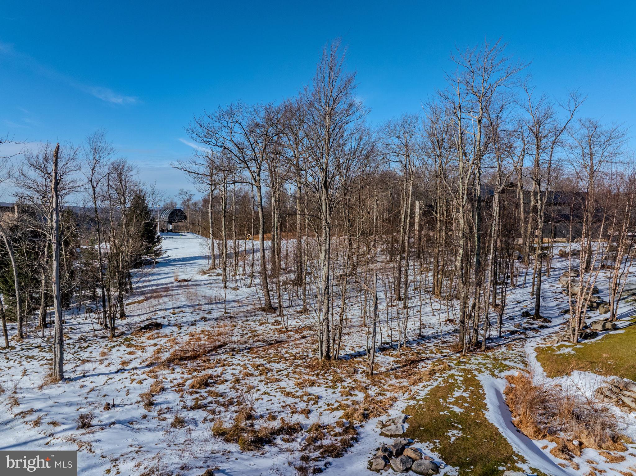 57 North Camp Road McHenry, MD 21541 - Photo 30 of 46 a view of a backyard with iron fence