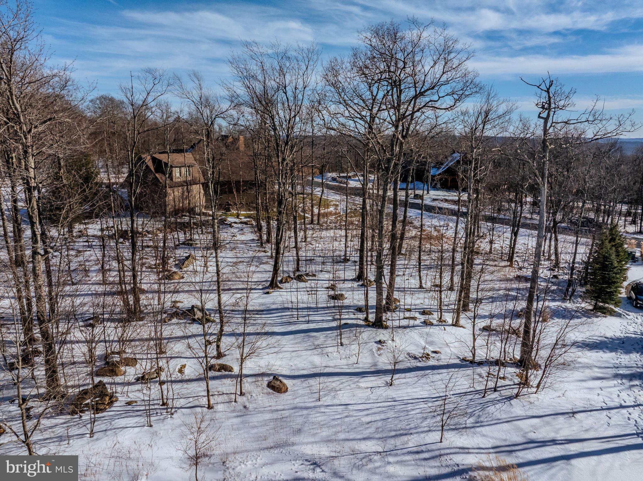 57 North Camp Road McHenry, MD 21541 - Photo 31 of 46 a view of outdoor space