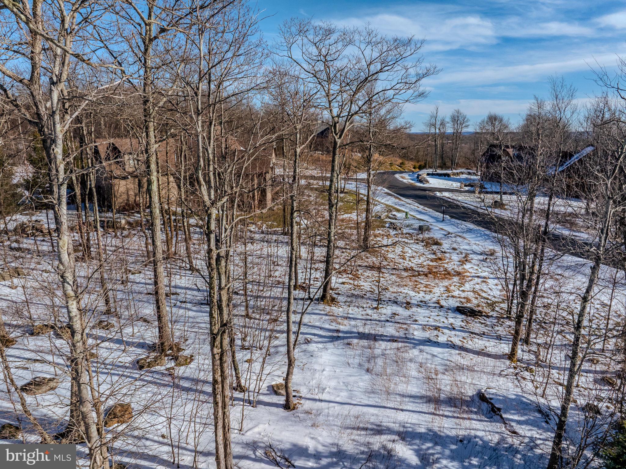 57 North Camp Road McHenry, MD 21541 - Photo 32 of 46 a backyard of a house with lots of trees