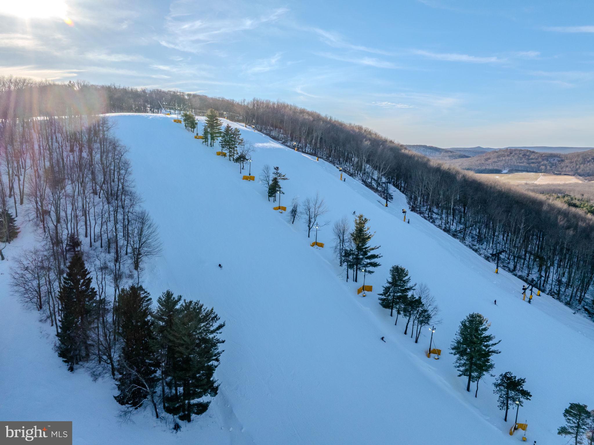 57 North Camp Road McHenry, MD 21541 - Photo 38 of 46 an aerial view of a house with a yard