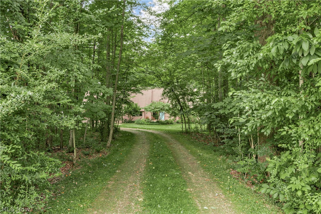 15490 Riddle Road Chagrin Falls, OH 44022 - Photo 6 of 47 Driveway to house