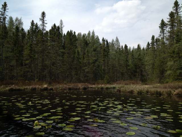 38-acres Hilts Lake Road Rhinelander, WI 54501 - Photo 1 of 14 Gallery Image 1