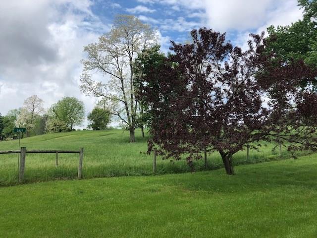 2827 Truesdel Road Gosport, IN 47433 - Photo 3 of 36 Gallery Image 3