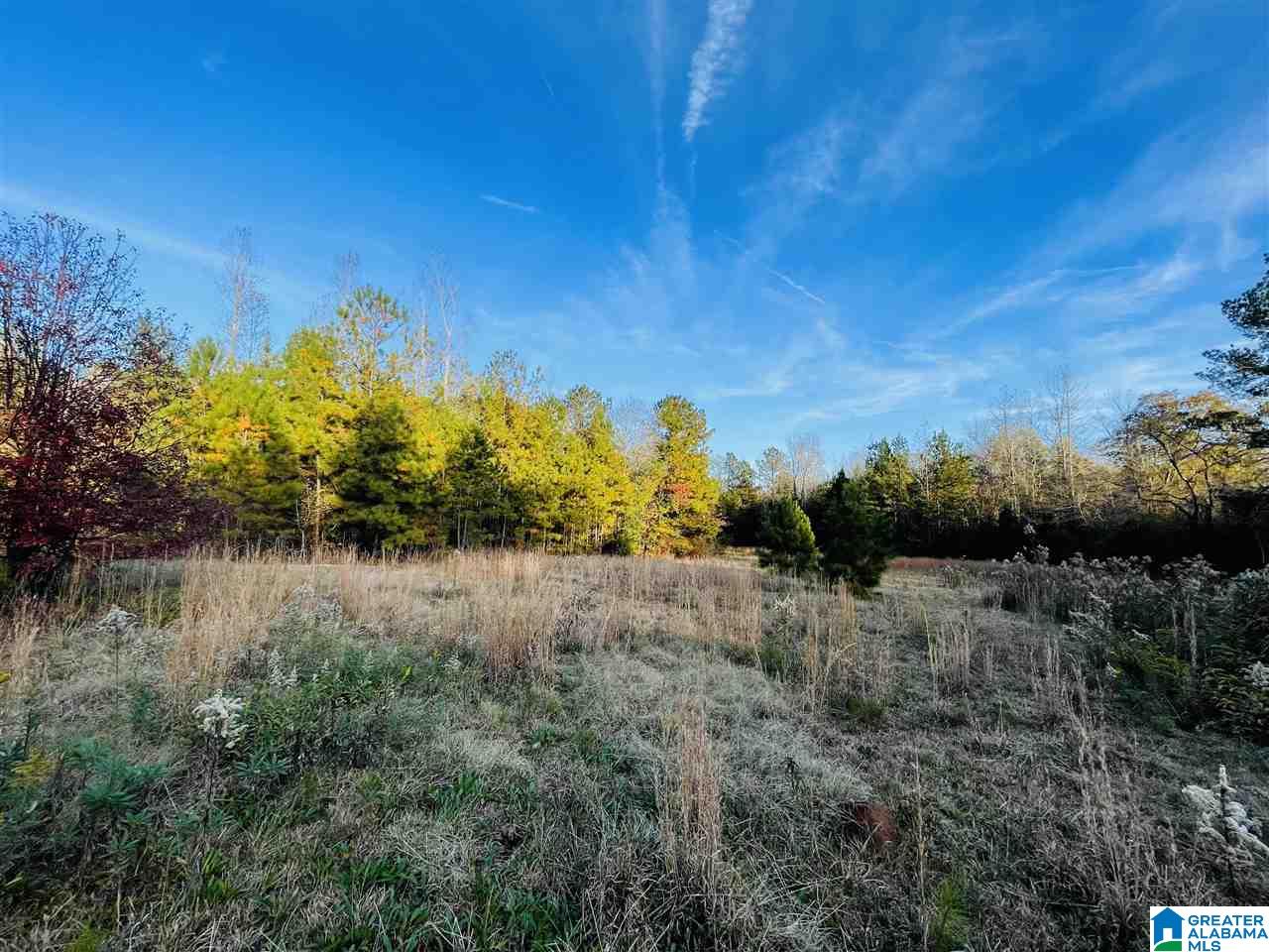400 North Horton Road Wilsonville, AL 35186 - Photo 9 of 30