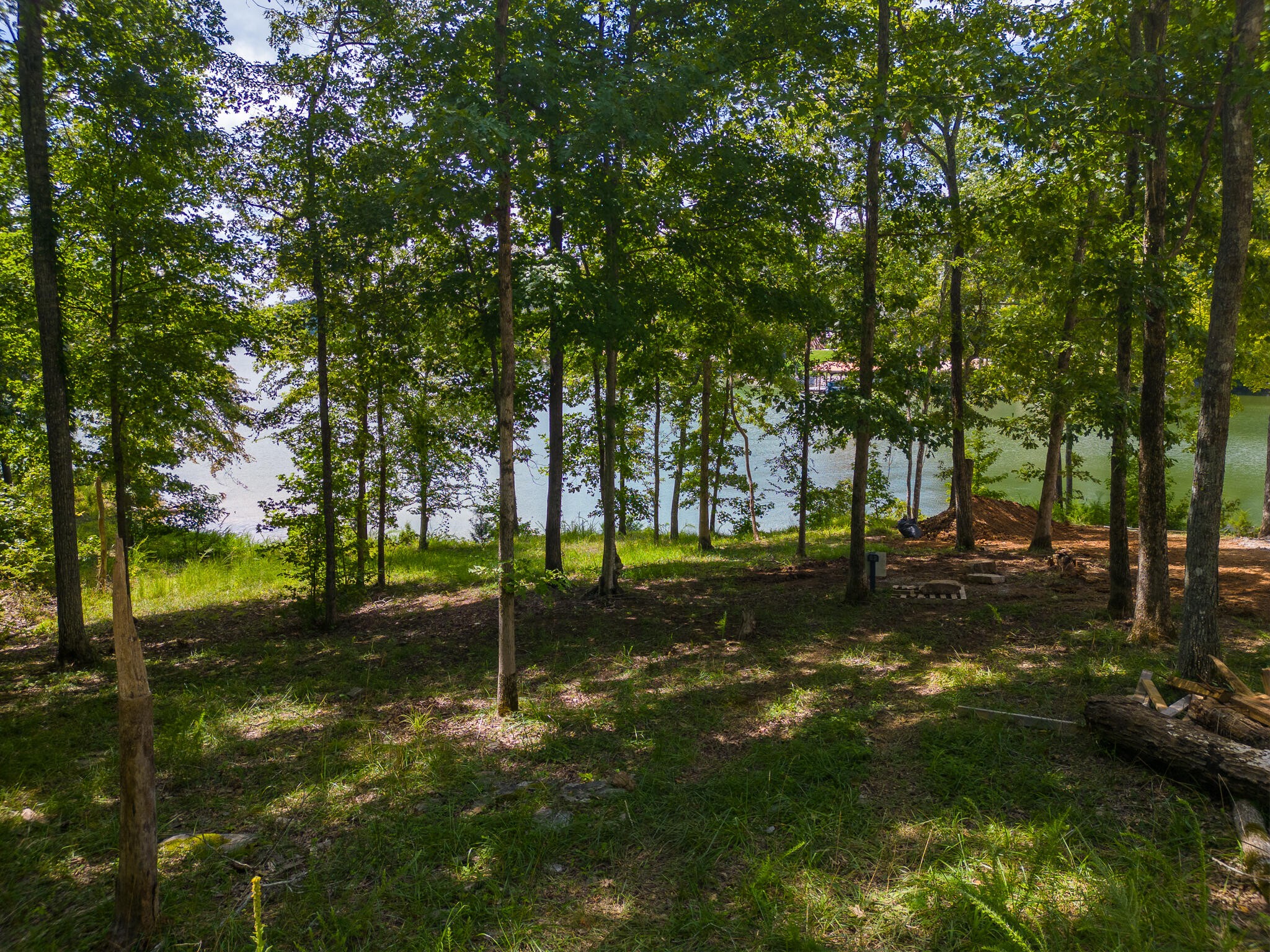 63 Edgewater Way Ten Mile, TN 37880 - Photo 2 of 20 Gallery Image 2