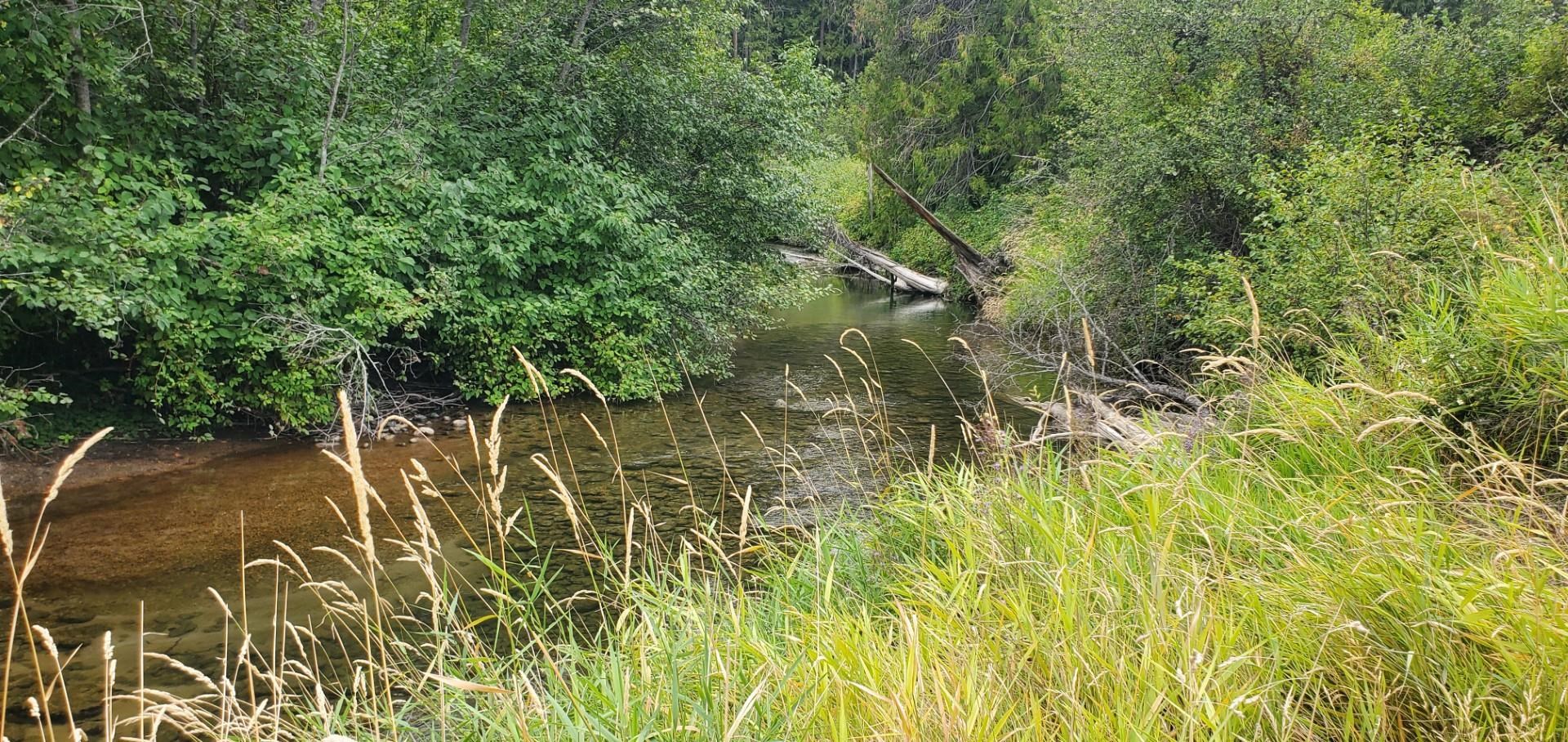 3159 Heather Lane Colville, WA 99114 - Photo 1 of 14