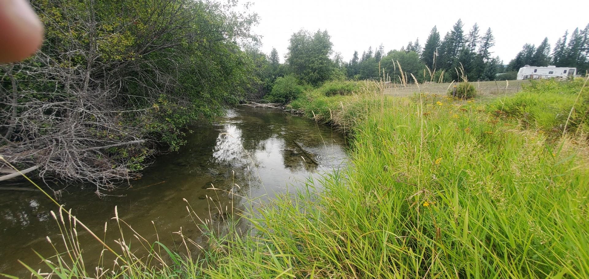 3159 Heather Lane Colville, WA 99114 - Photo 2 of 14