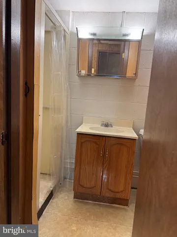 a bathroom with a shower and a sink