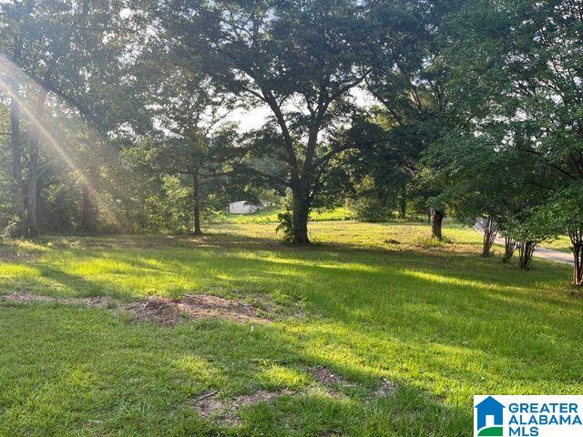 1663 County Road 2 Montevallo, AL 35115 - Photo 37 of 46
