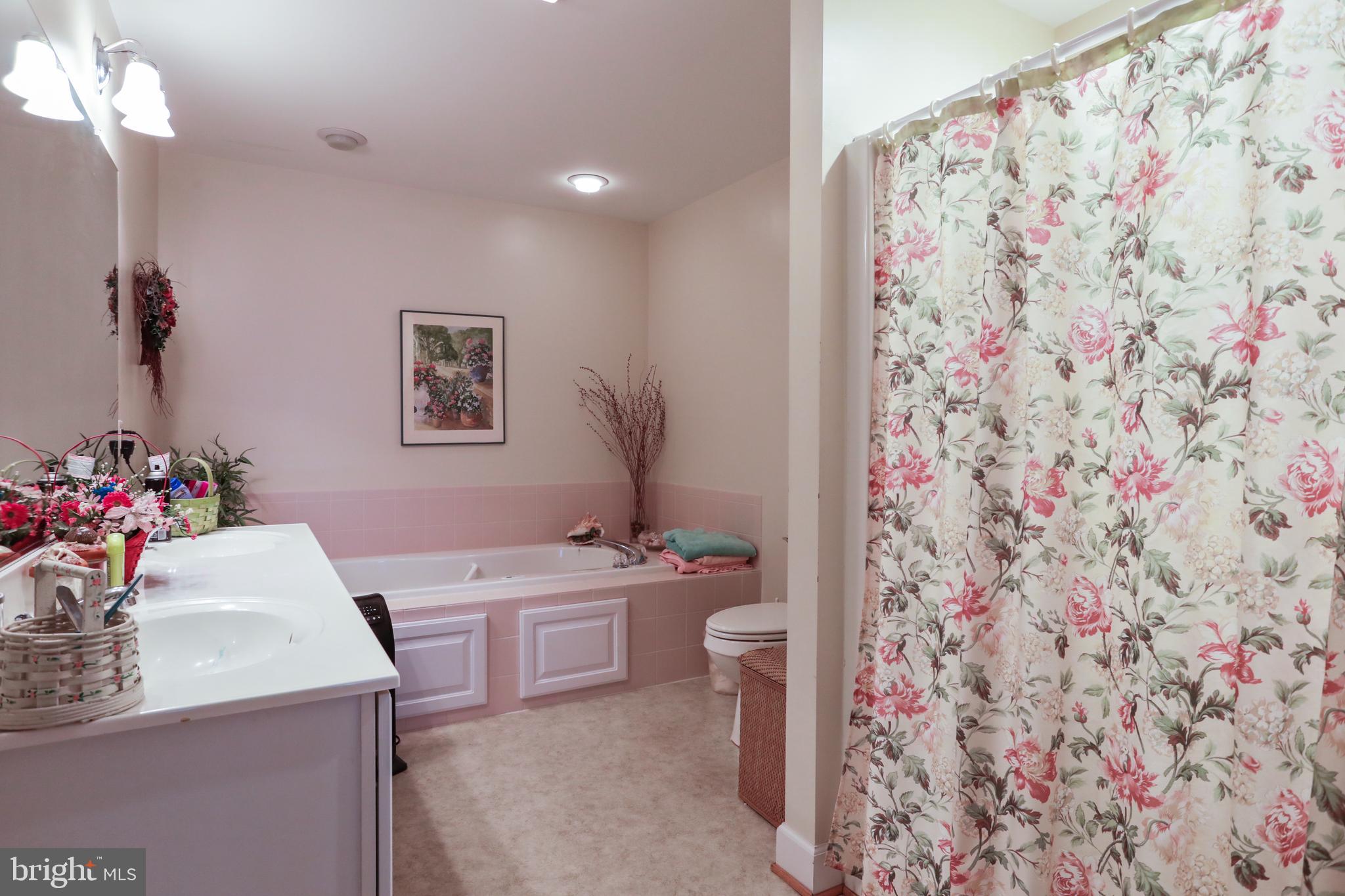 175 Maynard Lane Strasburg, VA 22657 - Photo 15 of 25 Primary Bathroom with double sinks & soaking tub