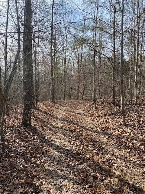 46 Keener Hill Road Pikeville, TN 37367 - Photo 3 of 10 Gallery Image 3