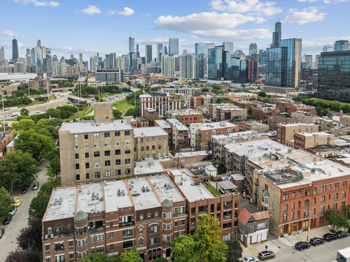 523 North Racine Avenue, Unit 1 Chicago, IL 60642 - Photo 28 of 29 Gallery Image 28