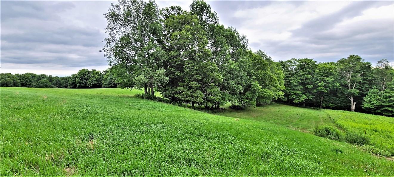 Hurd Road Swan Lake, NY 12783 - Photo 1 of 1 Gallery Image 1