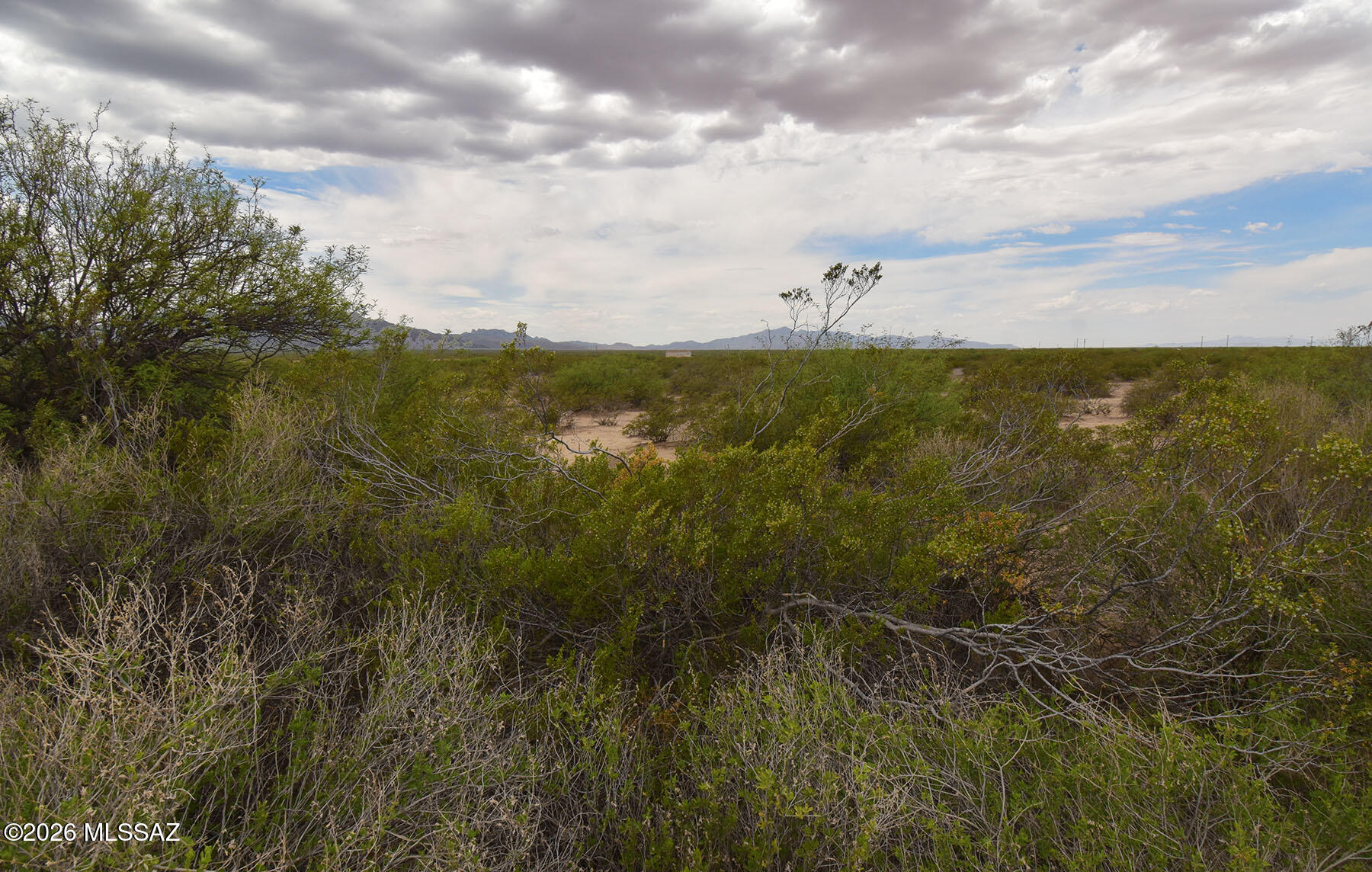 40.7-ac North Parker Road San Simon, AZ 85632 - Photo 5 of 24