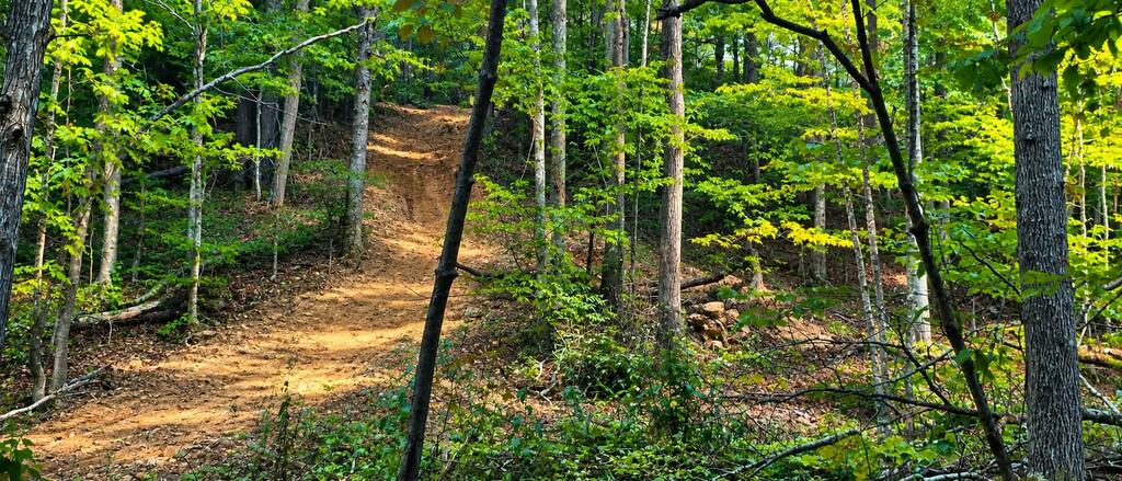 36-acres Baptist Valley Road, Unit 67 Cedar Bluff, VA 24609 - Photo 28 of 42 Gallery Image 28