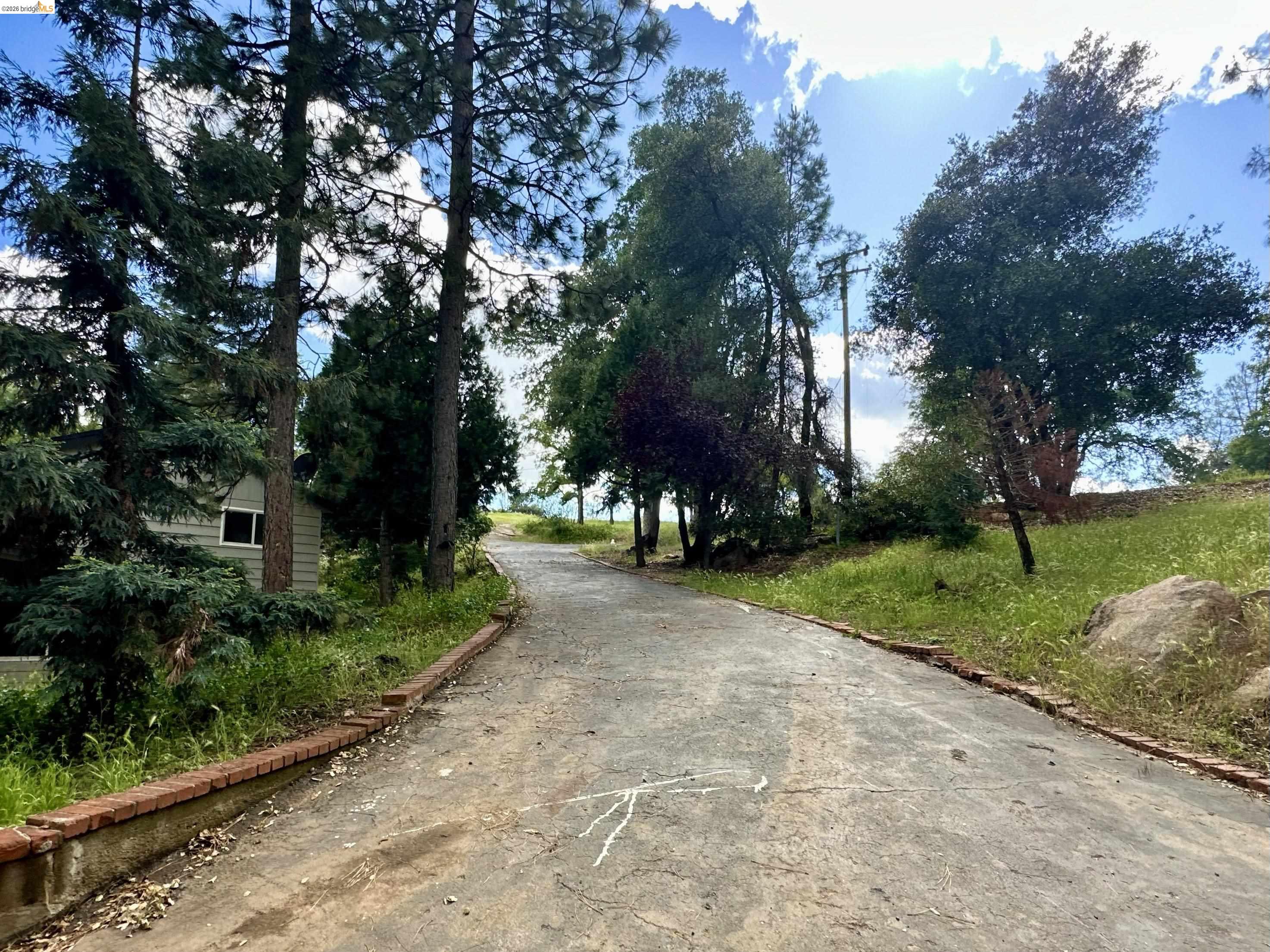 20231 Hidden Acres Road Sonora, CA 95370 - Photo 23 of 25 Paved driveway framed by mature evergreen trees and natural landscaping