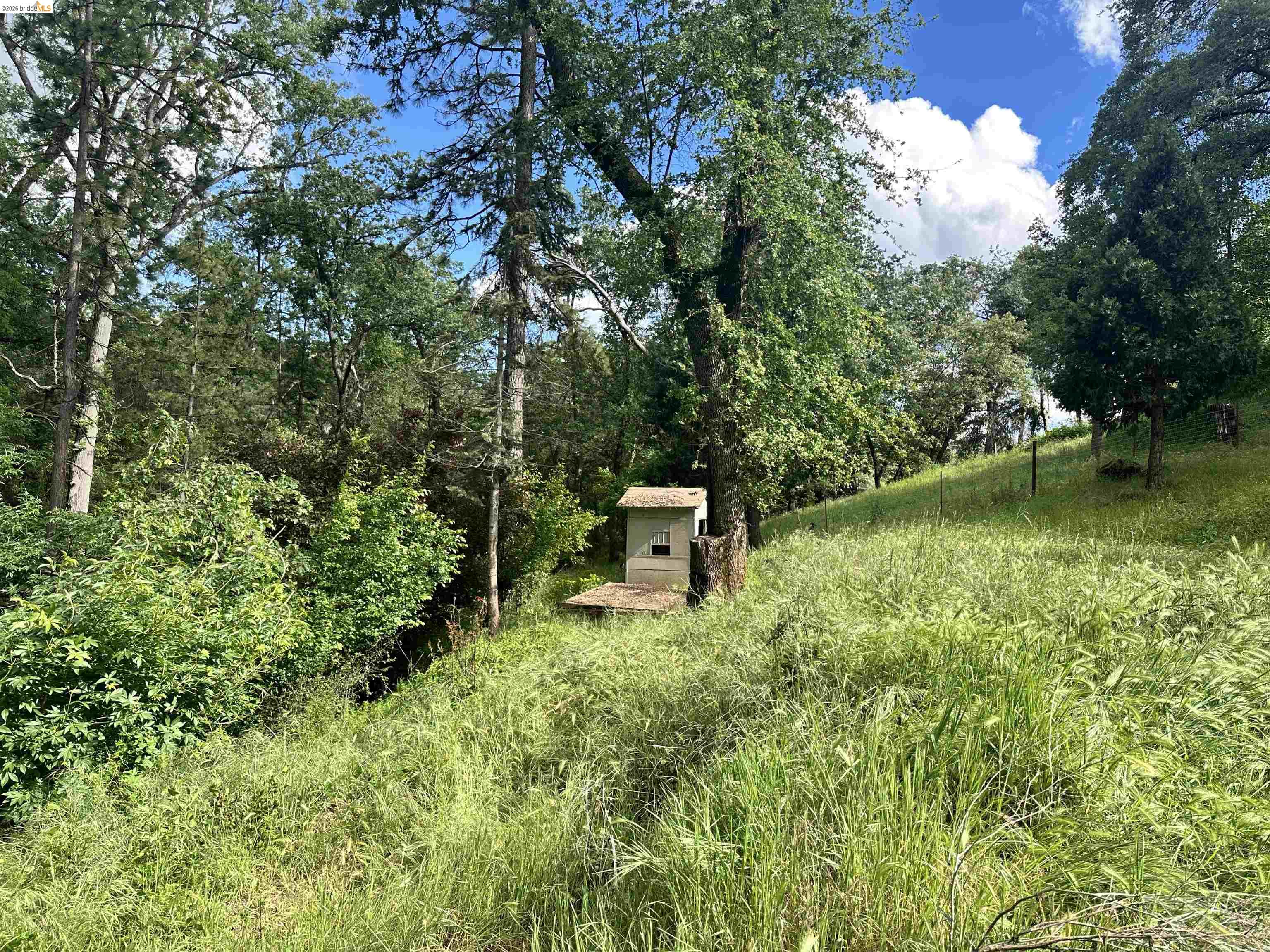 20231 Hidden Acres Road Sonora, CA 95370 - Photo 5 of 25 Wooded acreage featuring a small utility structure and a sloped, grassy terrain