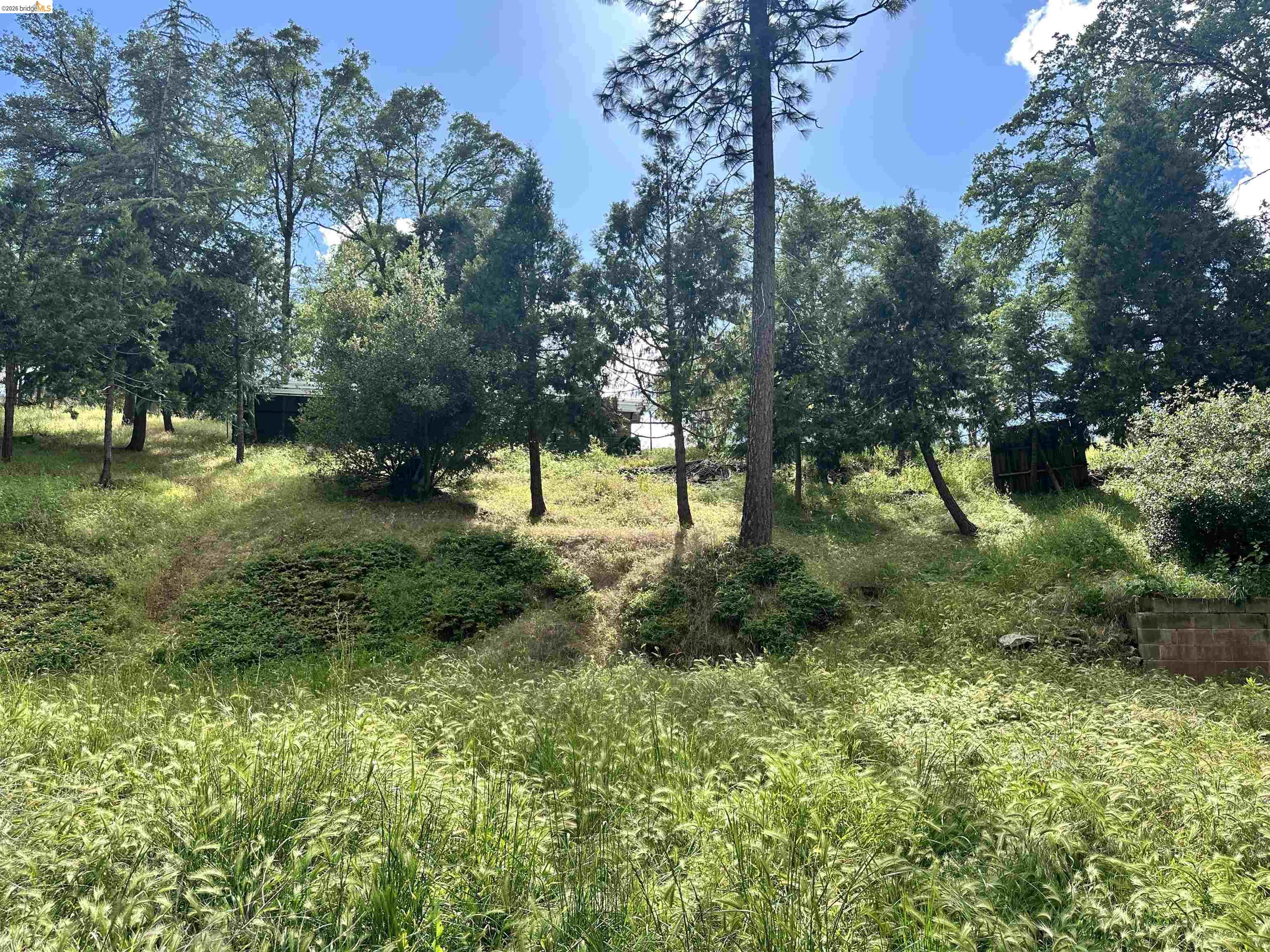 20231 Hidden Acres Road Sonora, CA 95370 - Photo 7 of 25 Image quality insufficient for description