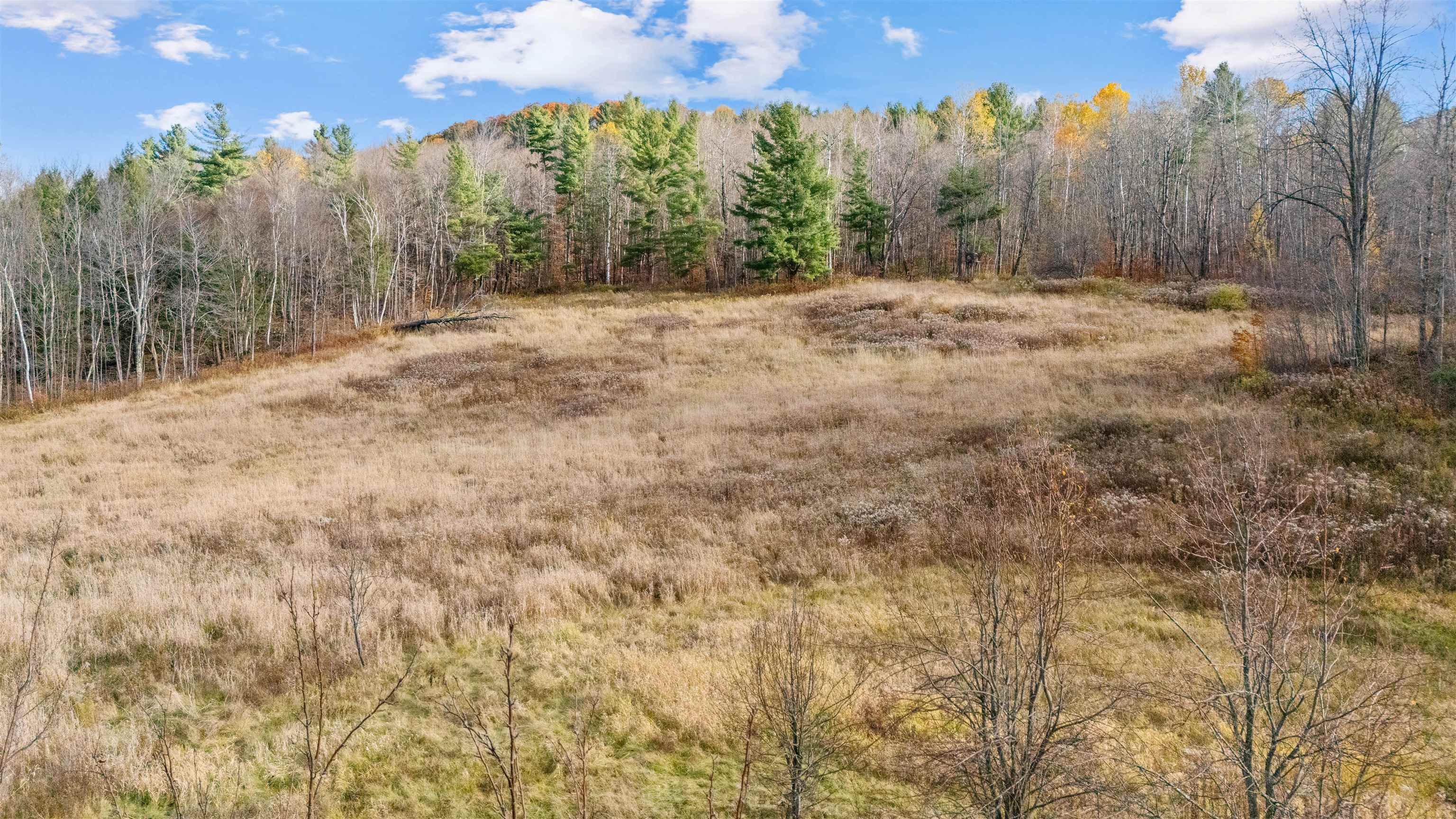 773 Ruby Brace Road Starksboro, VT 05487 - Photo 4 of 32