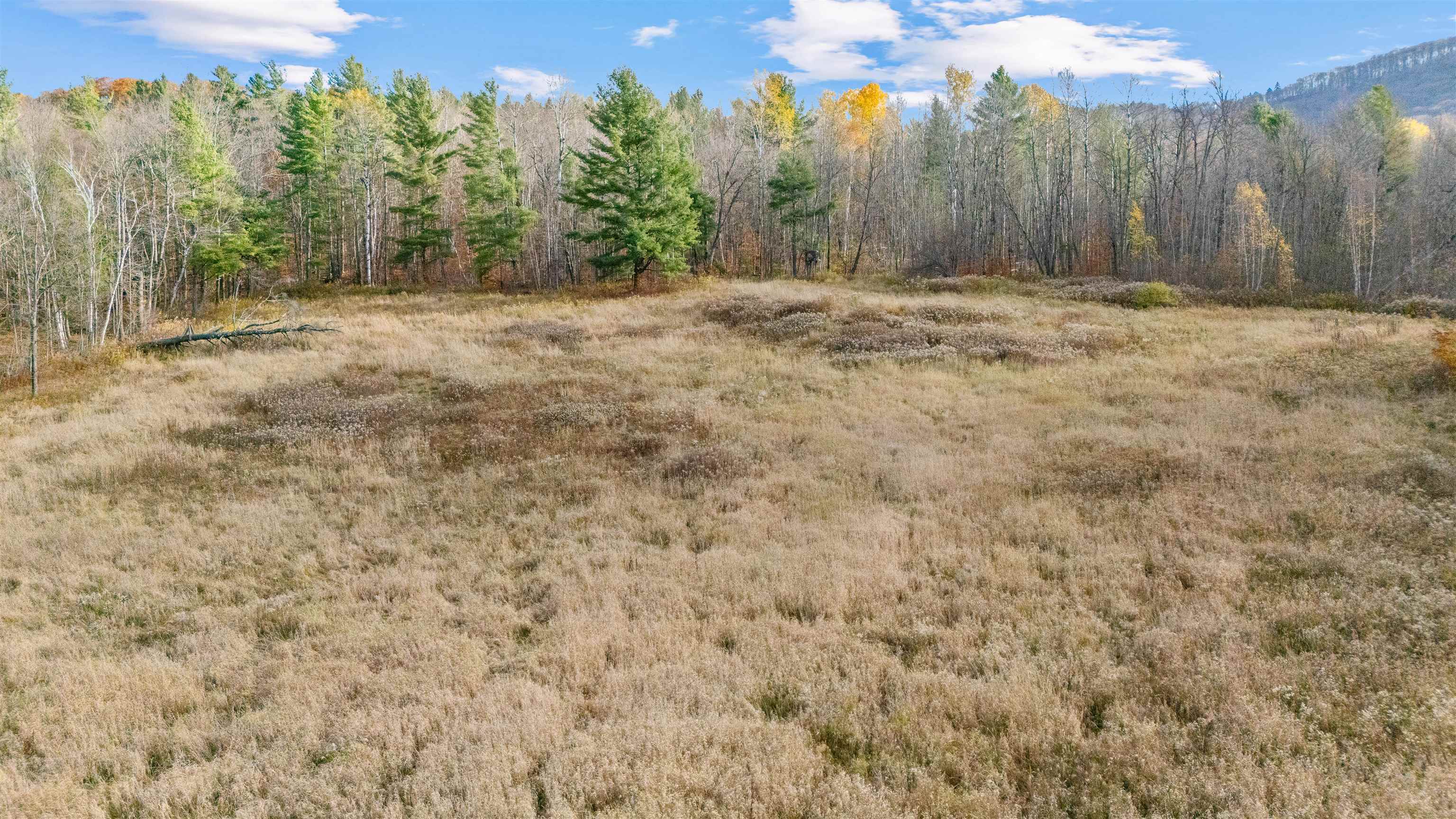 773 Ruby Brace Road Starksboro, VT 05487 - Photo 5 of 32