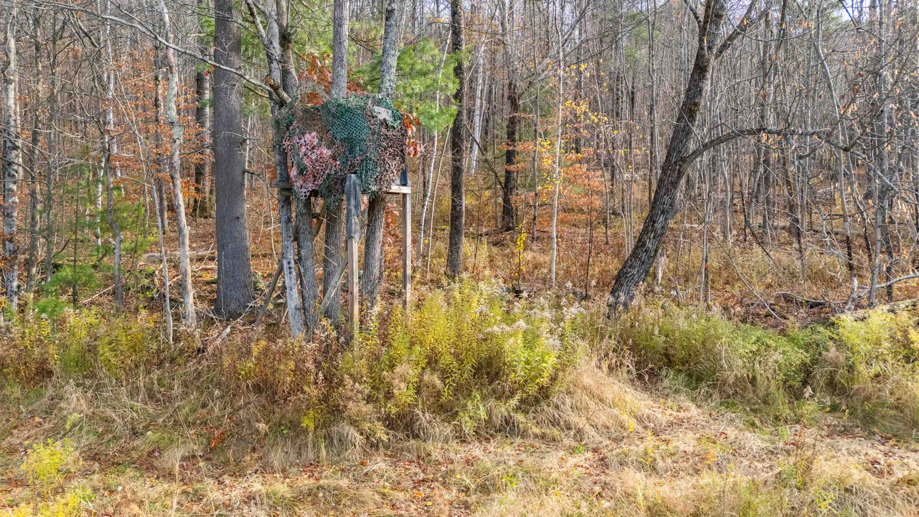 773 Ruby Brace Road Starksboro, VT 05487 - Photo 7 of 32