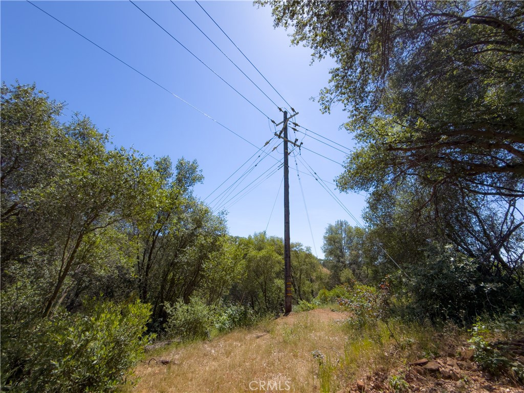 10 Miller Road Mariposa, CA 95338 - Photo 25 of 34 a view of a road with a tree